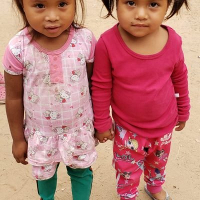 nenas de la mano